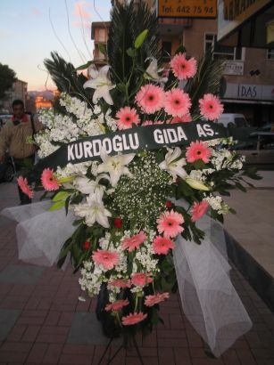 kazablanka,gerbera,sebboy ferforje  Ankara Beypazar Rstempaa ieki maazas 