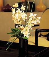  Ankara Beypazar Ayvak iekiler  cam yada mika vazo ierisinde dal orkide