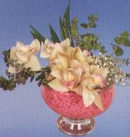  Ankara stiklal mah. iek maazas , ieki adresleri  Dal orkide kalite bir hediye