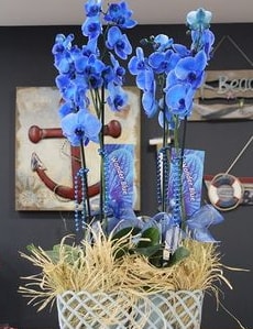 4 dall zel mavi orkide  Ankara Beypazar Cumhuriyet mah. iek siparii