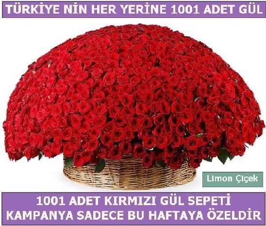 1001 Adet krmz gl Bu haftaya zel  Ankara Beypazar Kurtulu iekiler